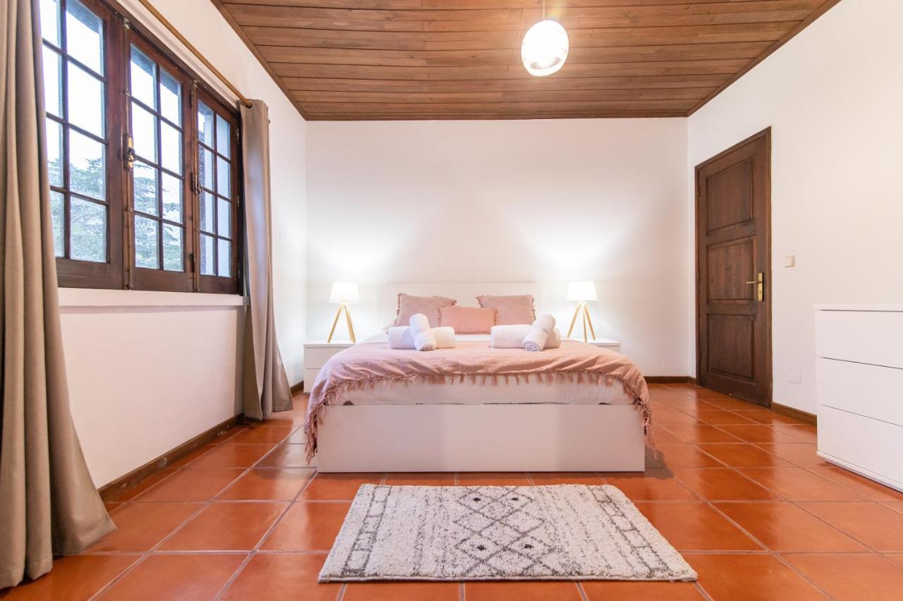 São Vicente Ferreira Casa Do Pinheiro With Shared Swimming Poolヴィラ エクステリア 写真